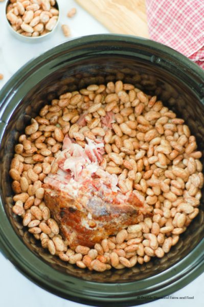 A slow cooker with beans and a ham bone.
